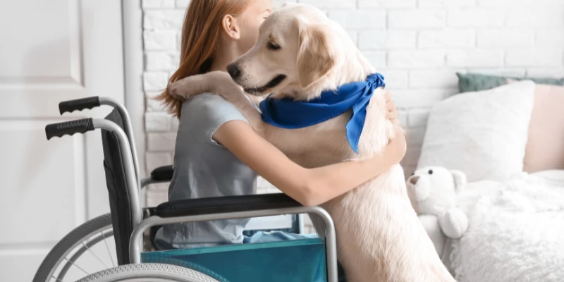 What is a Therapy Dog?